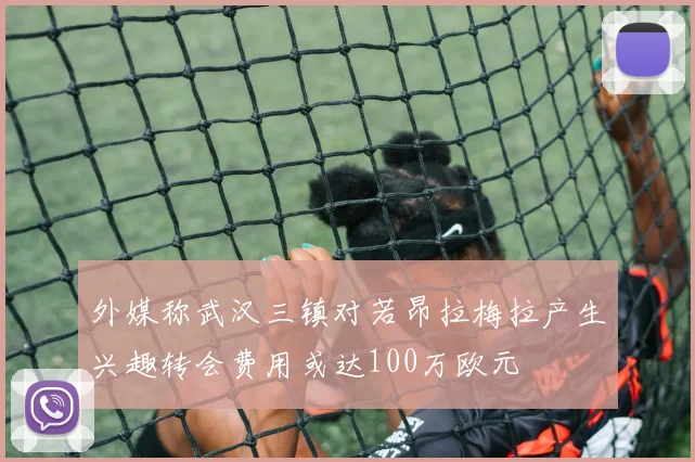 外媒称武汉三镇对若昂拉梅拉产生兴趣转会费用或达100万欧元